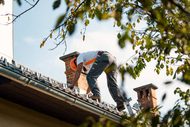 Best Flat Roof Repair Services  in Portage, MI
