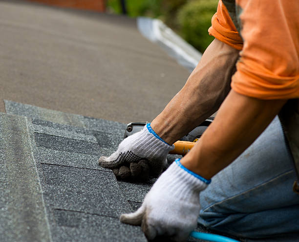 Residential Roof Replacement in Portage, MI