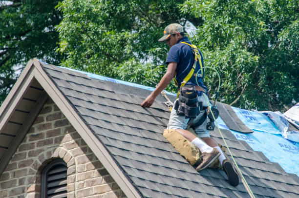 Best Gutter Installation and Roofing  in Portage, MI