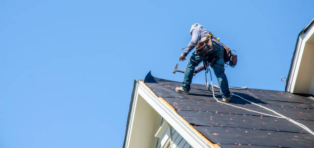 Best New Roof Installation  in Portage, MI