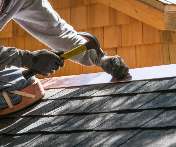 Best Sealant for Roof  in Portage, MI